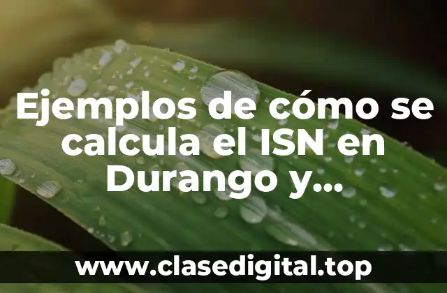 Ejemplos de cómo se calcula el ISN en Durango y Significado