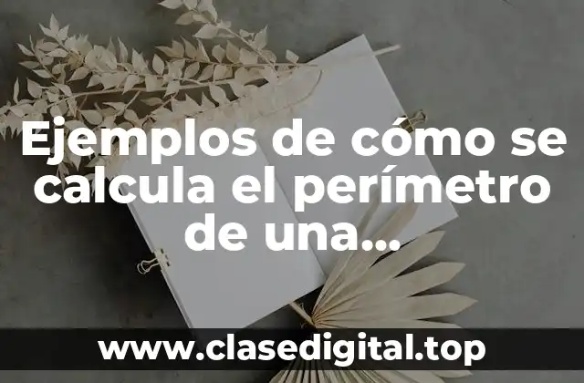 Ejemplos de cómo se calcula el perímetro de una circunferencia