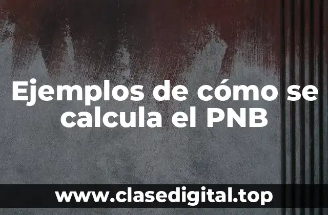 Ejemplos de cómo se calcula el PNB