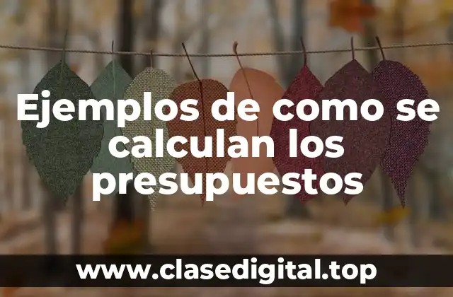 Ejemplos de como se calculan los presupuestos