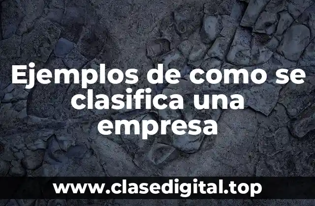 Ejemplos de como se clasifica una empresa