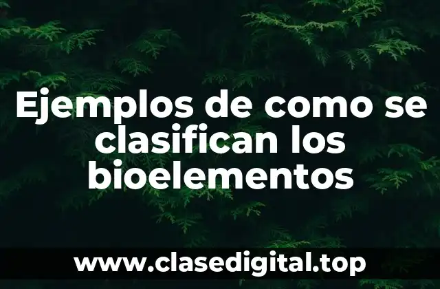 Ejemplos de cómo se clasifican los bioelementes