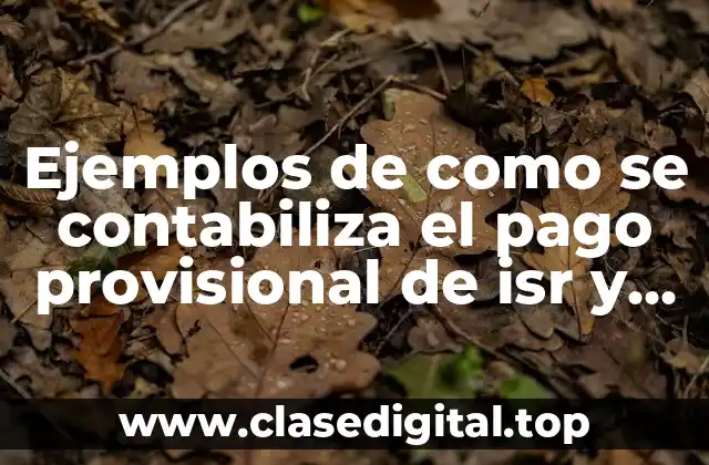 Ejemplos de cómo se contabiliza el pago provisional de ISR