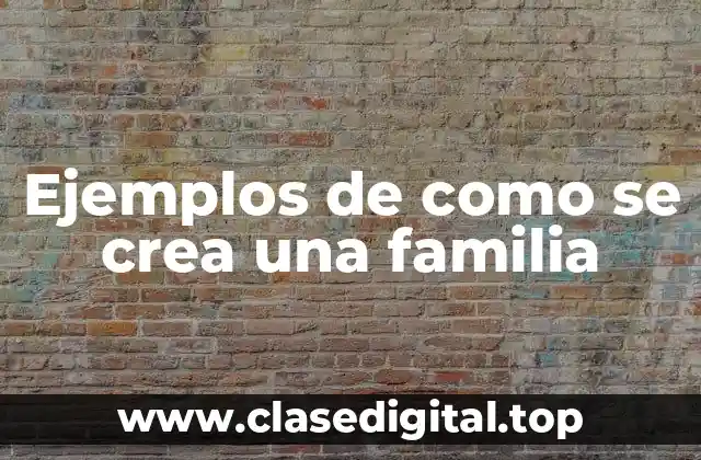 Ejemplos de como se crea una familia