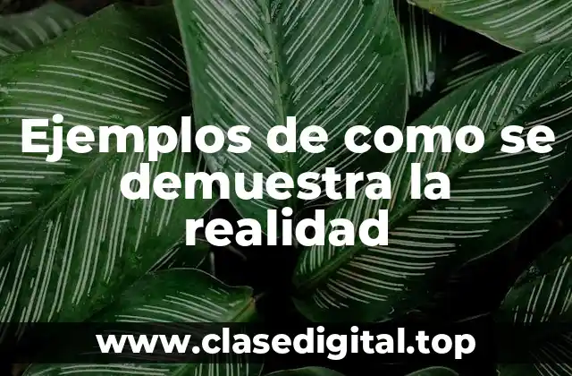 Ejemplos de como se demuestra la realidad