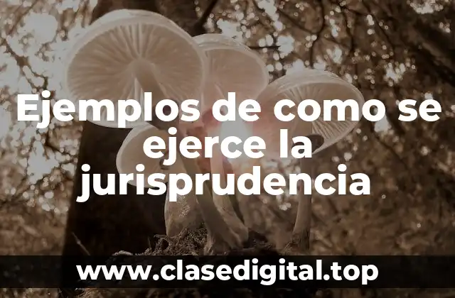 Ejemplos de jurisprudencia