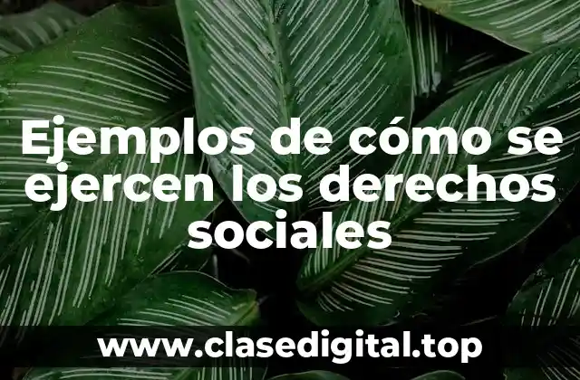 Ejemplos de cómo se ejercen los derechos sociales