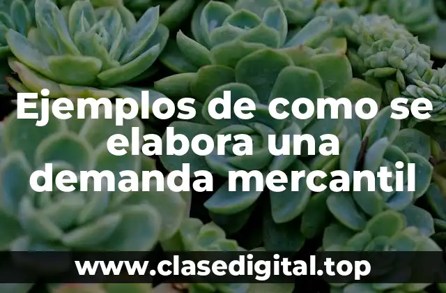 Ejemplos de como se elabora una demanda mercantil