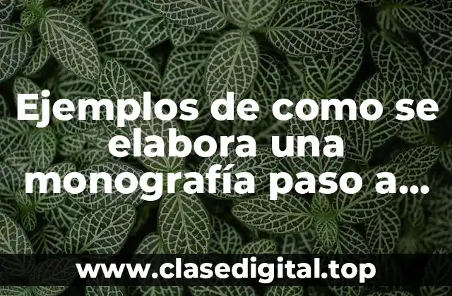Ejemplos de como se elabora una monografía paso a paso