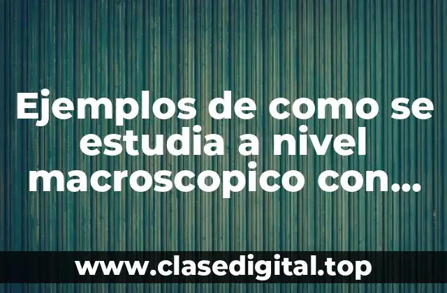 Ejemplos de como se estudia a nivel macroscopico con bibliografia