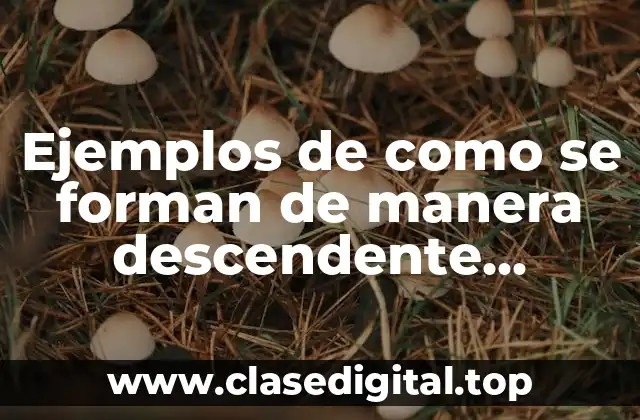 Ejemplos de como se forman de manera descendente matemática