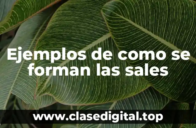 Ejemplos de como se forman las sales