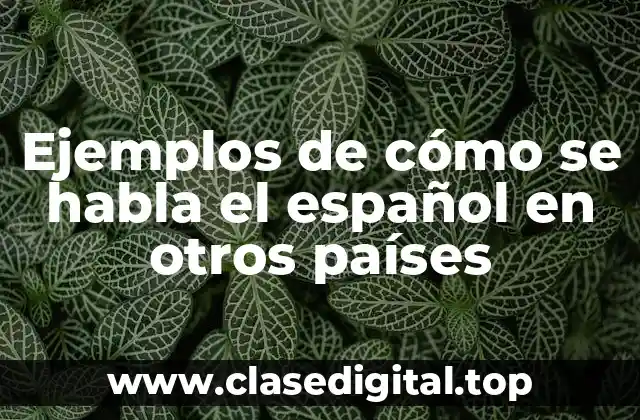 Ejemplos de cómo se habla el español en otros países