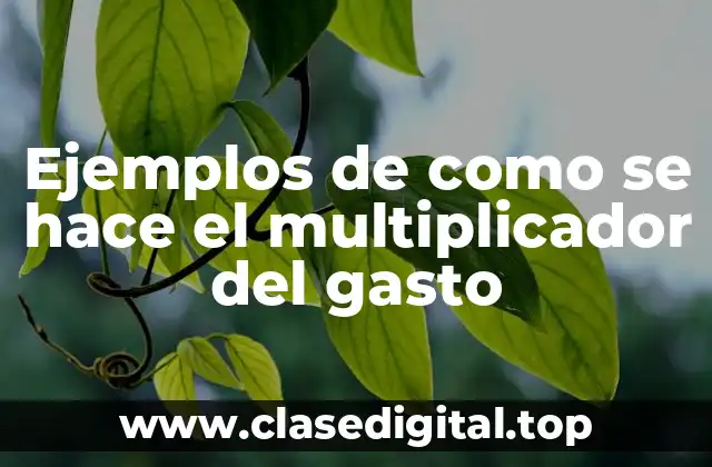 Ejemplos de como se hace el multiplicador del gasto