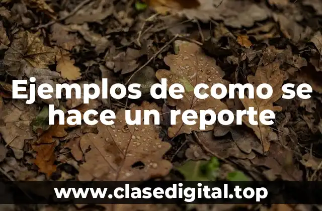 Ejemplos de como se hace un reporte