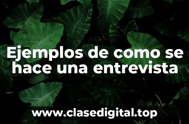 Ejemplos de como se hace una entrevista