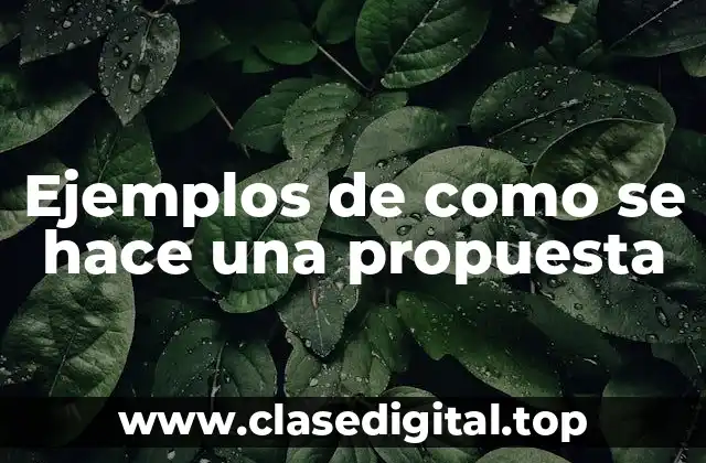 Ejemplos de como se hace una propuesta