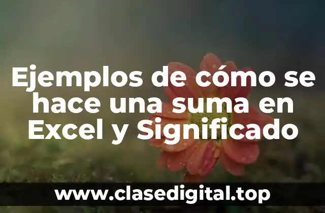 Ejemplos de cómo se hace una suma en Excel