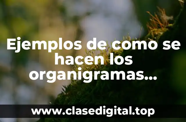 Ejemplos de como se hacen los organigramas circular