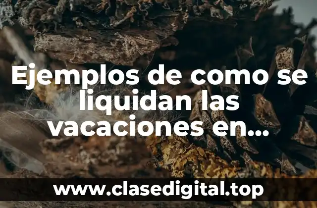 Ejemplos de como se liquidan las vacaciones en dinero