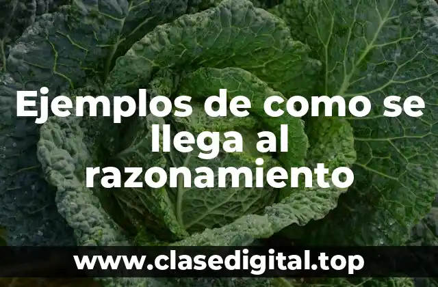 Ejemplos de como se llega al razonamiento