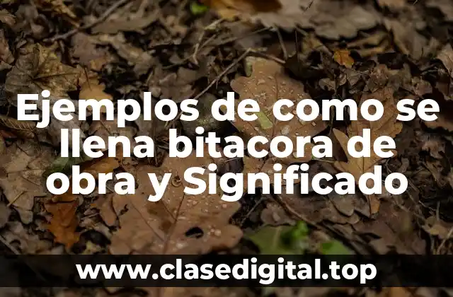 Ejemplos de como se llena bitacora de obra y Significado