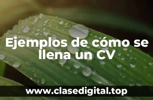 Ejemplos de cómo se llena un CV