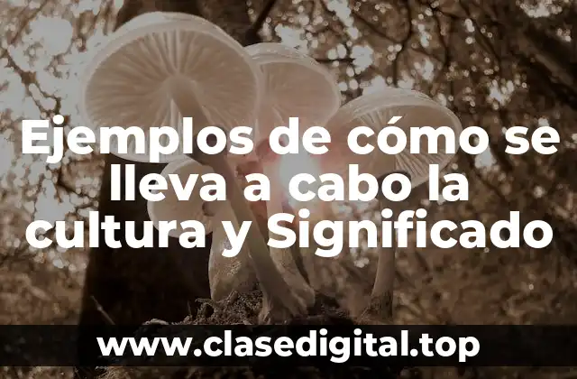 Ejemplos de cómo se lleva a cabo la cultura y Significado