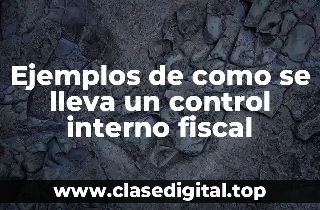Ejemplos de como se lleva un control interno fiscal