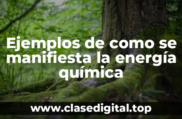 Ejemplos de como se manifiesta la energía química