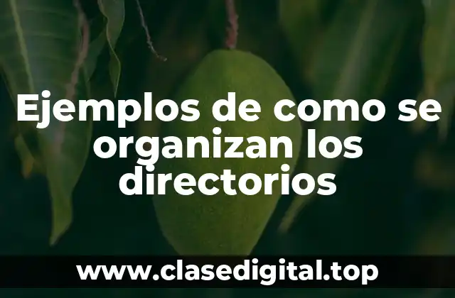 Ejemplos de como se organizan los directorios