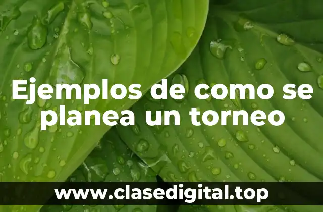 Ejemplos de como se planea un torneo