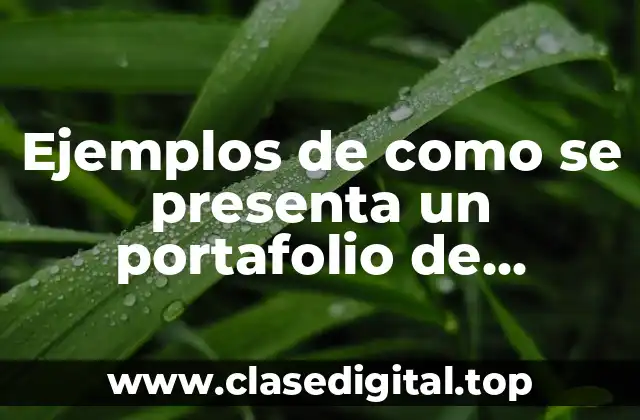 Ejemplos de como se presenta un portafolio de inversion