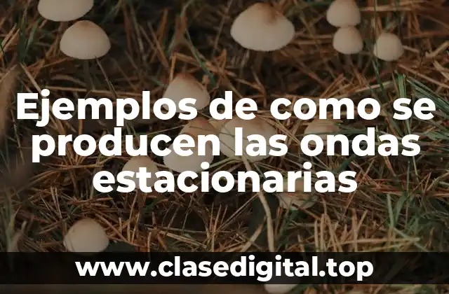 Ejemplos de como se producen las ondas estacionarias