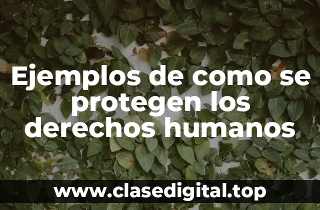 Ejemplos de como se protegen los derechos humanos
