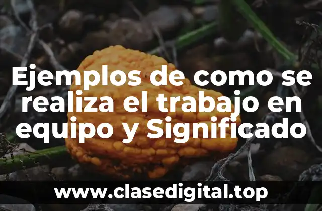Ejemplos de como se realiza el trabajo en equipo y Significado