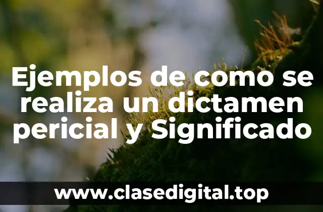 Ejemplos de como se realiza un dictamen pericial y Significado