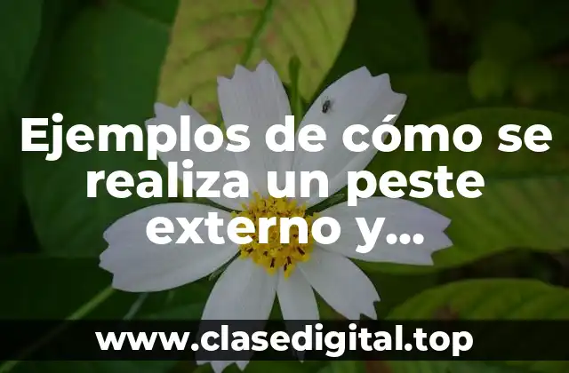 Ejemplos de cómo se realiza un peste externo y Significado