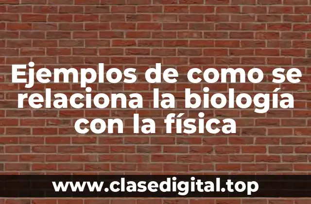 Ejemplos de como se relaciona la biología con la física