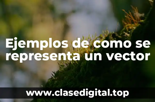 Ejemplos de como se representa un vector