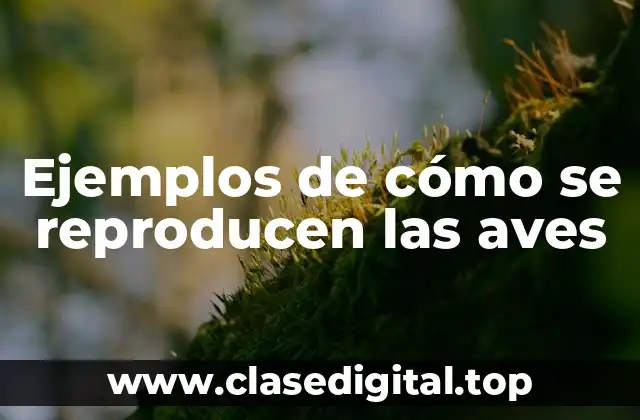 Ejemplos de cómo se reproducen las aves