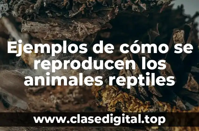 Ejemplos de cómo se reproducen los animales reptiles