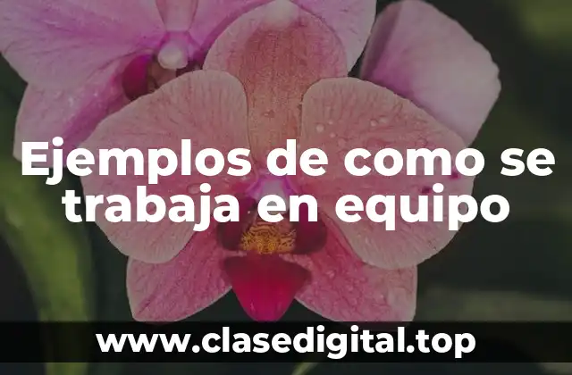 Ejemplos de como se trabaja en equipo