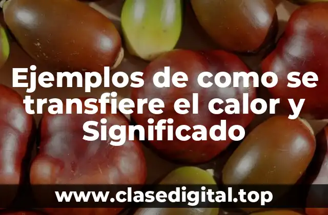Ejemplos de como se transfiere el calor y Significado