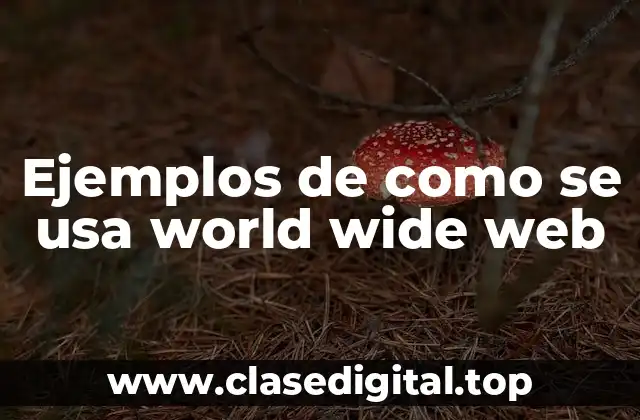 Ejemplos de como se usa world wide web