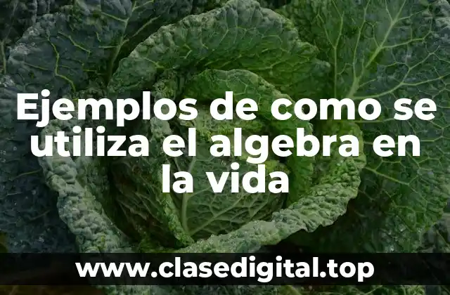 Ejemplos de como se utiliza el algebra en la vida