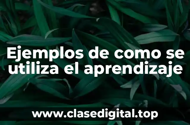 Ejemplos de como se utiliza el aprendizaje