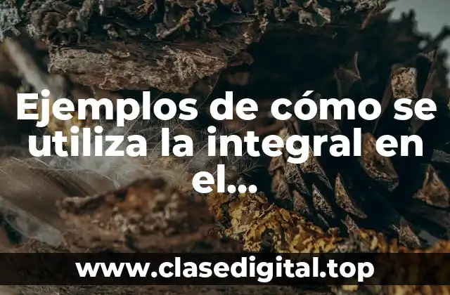 Ejemplos de cómo se utiliza la integral en el electromagnetismo