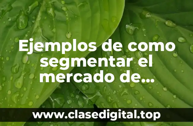 Ejemplos de como segmentar el mercado de servicios de mascotas