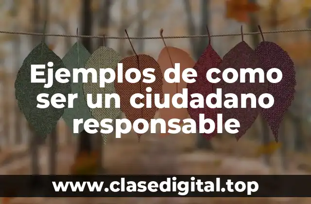 Ejemplos de como ser un ciudadano responsable